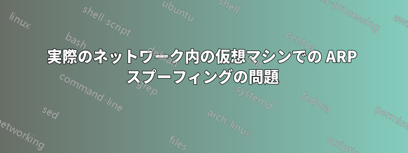 実際のネットワーク内の仮想マシンでの ARP スプーフィングの問題