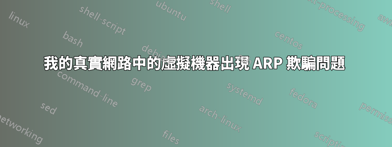 我的真實網路中的虛擬機器出現 ARP 欺騙問題