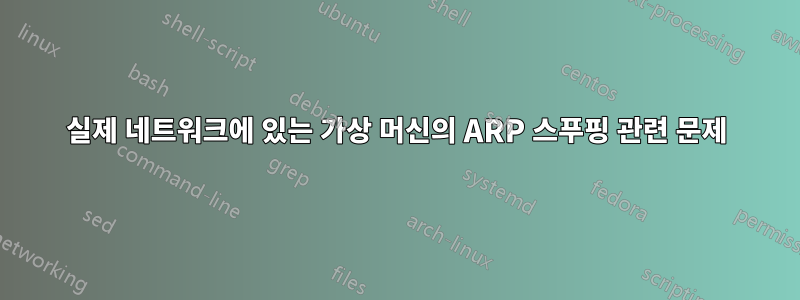 실제 네트워크에 있는 가상 머신의 ARP 스푸핑 관련 문제