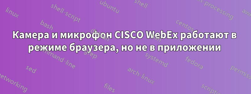 Камера и микрофон CISCO WebEx работают в режиме браузера, но не в приложении