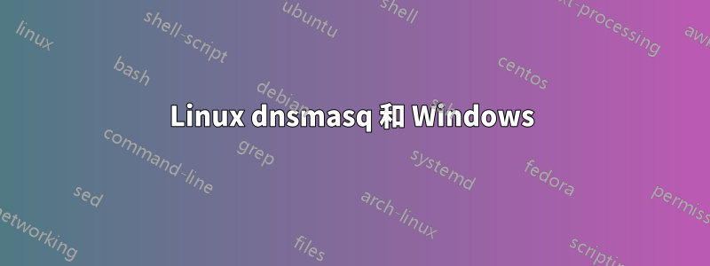 Linux dnsmasq 和 Windows