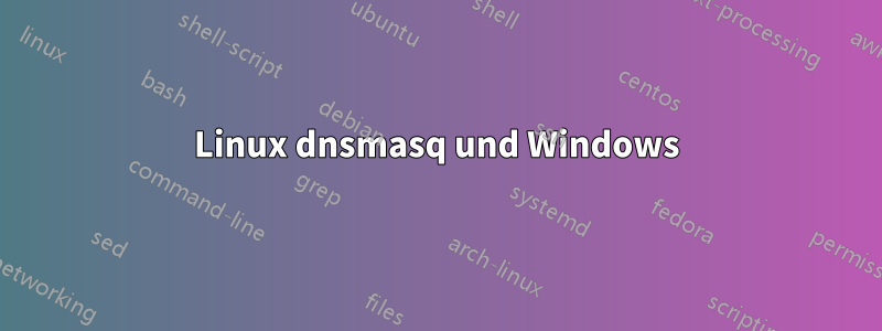 Linux dnsmasq und Windows