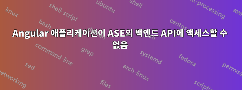 Angular 애플리케이션이 ASE의 백엔드 API에 액세스할 수 없음