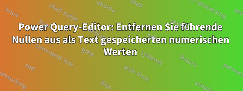 Power Query-Editor: Entfernen Sie führende Nullen aus als Text gespeicherten numerischen Werten