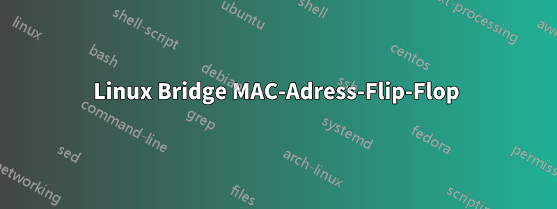 Linux Bridge MAC-Adress-Flip-Flop