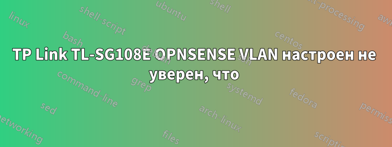 TP Link TL-SG108E OPNSENSE VLAN настроен не уверен, что