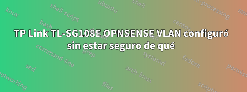 TP Link TL-SG108E OPNSENSE VLAN configuró sin estar seguro de qué