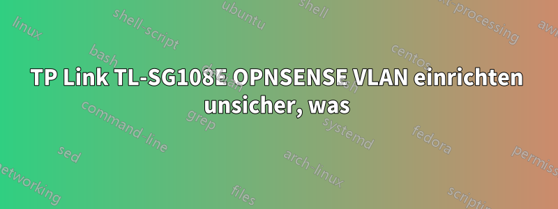 TP Link TL-SG108E OPNSENSE VLAN einrichten unsicher, was