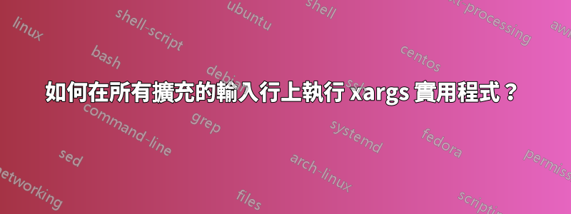 如何在所有擴充的輸入行上執行 xargs 實用程式？