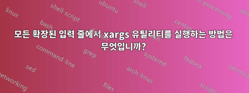 모든 확장된 입력 줄에서 xargs 유틸리티를 실행하는 방법은 무엇입니까?