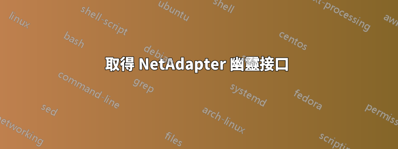 取得 NetAdapter 幽靈接口