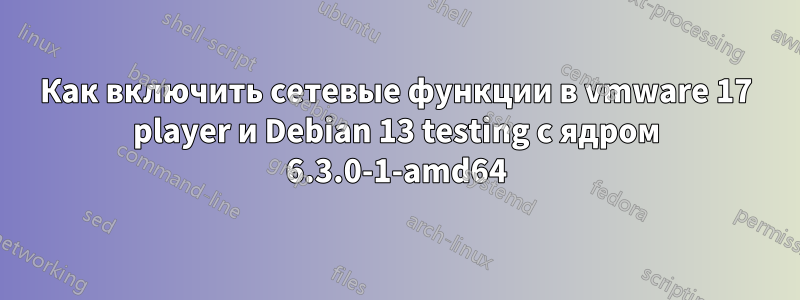 Как включить сетевые функции в vmware 17 player и Debian 13 testing с ядром 6.3.0-1-amd64