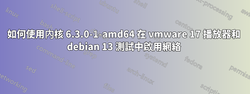 如何使用內核 6.3.0-1-amd64 在 vmware 17 播放器和 debian 13 測試中啟用網絡