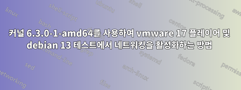 커널 6.3.0-1-amd64를 사용하여 vmware 17 플레이어 및 debian 13 테스트에서 네트워킹을 활성화하는 방법