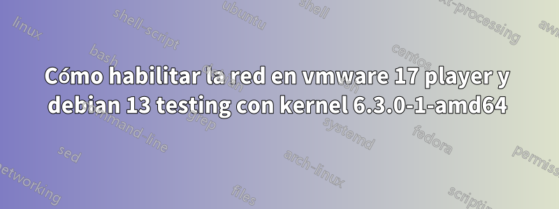 Cómo habilitar la red en vmware 17 player y debian 13 testing con kernel 6.3.0-1-amd64