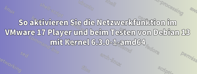 So aktivieren Sie die Netzwerkfunktion im VMware 17 Player und beim Testen von Debian 13 mit Kernel 6.3.0-1-amd64