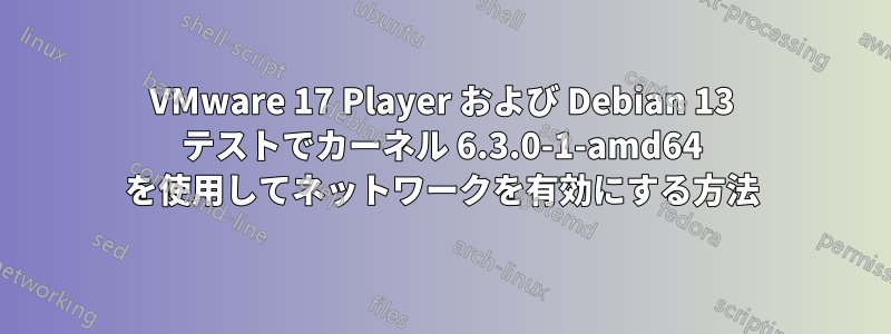 VMware 17 Player および Debian 13 テストでカーネル 6.3.0-1-amd64 を使用してネットワークを有効にする方法