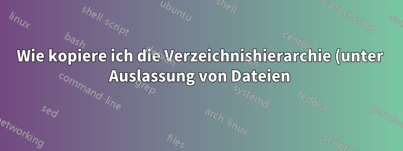 Wie kopiere ich die Verzeichnishierarchie (unter Auslassung von Dateien) in ein anderes Verzeichnis?