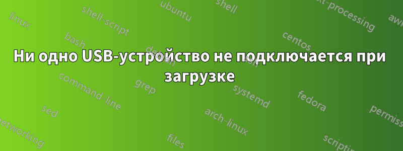 Ни одно USB-устройство не подключается при загрузке