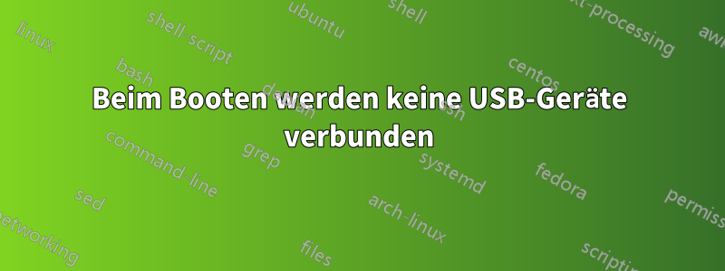 Beim Booten werden keine USB-Geräte verbunden