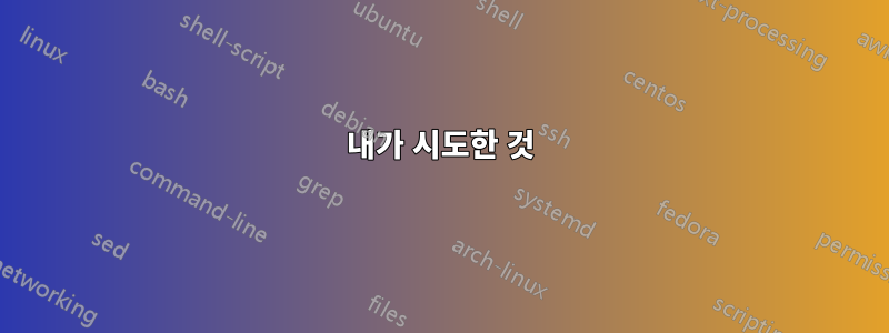 내가 시도한 것