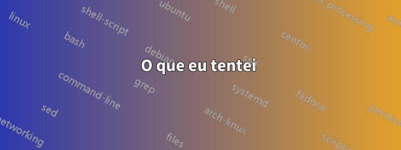 O que eu tentei