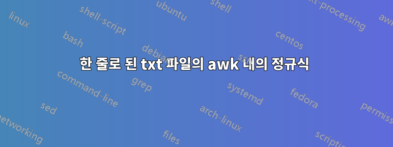 한 줄로 된 txt 파일의 awk 내의 정규식