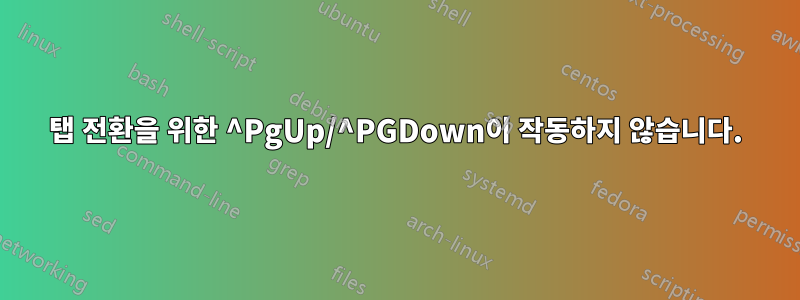 탭 전환을 위한 ^PgUp/^PGDown이 작동하지 않습니다.