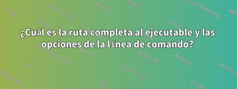 ¿Cuál es la ruta completa al ejecutable y las opciones de la línea de comando?