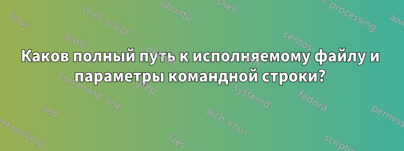 Каков полный путь к исполняемому файлу и параметры командной строки?