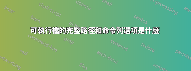 可執行檔的完整路徑和命令列選項是什麼