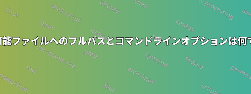 実行可能ファイルへのフルパスとコマンドラインオプションは何ですか