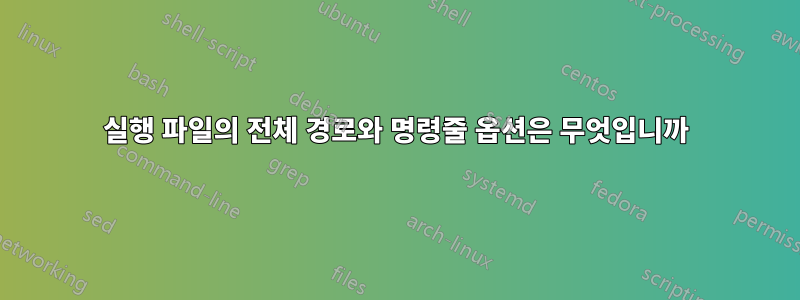 실행 파일의 전체 경로와 명령줄 옵션은 무엇입니까