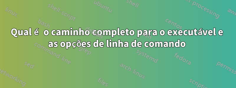 Qual é o caminho completo para o executável e as opções de linha de comando