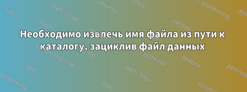 Необходимо извлечь имя файла из пути к каталогу, зациклив файл данных