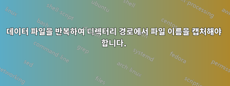 데이터 파일을 반복하여 디렉터리 경로에서 파일 이름을 캡처해야 합니다.