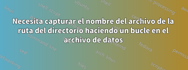 Necesita capturar el nombre del archivo de la ruta del directorio haciendo un bucle en el archivo de datos