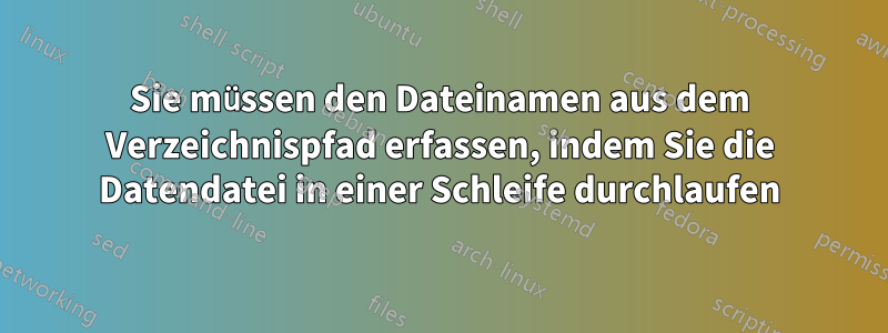 Sie müssen den Dateinamen aus dem Verzeichnispfad erfassen, indem Sie die Datendatei in einer Schleife durchlaufen