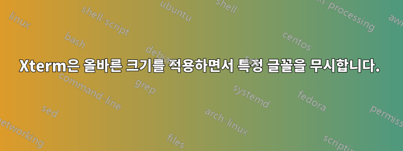 Xterm은 올바른 크기를 적용하면서 특정 글꼴을 무시합니다.