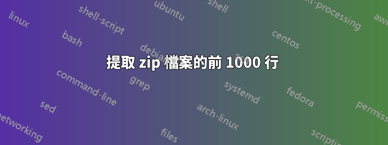 提取 zip 檔案的前 1000 行