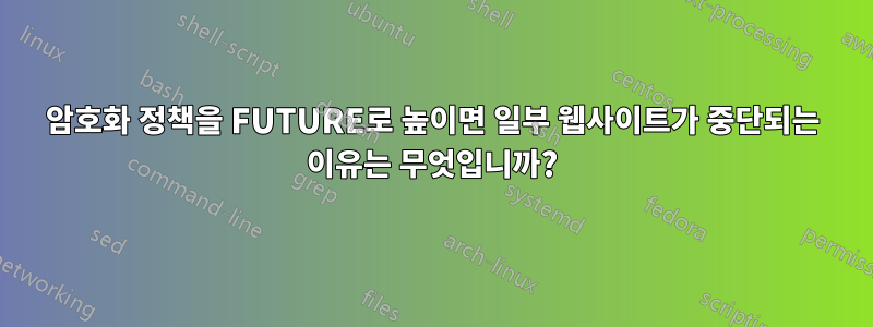 암호화 정책을 FUTURE로 높이면 일부 웹사이트가 중단되는 이유는 무엇입니까?