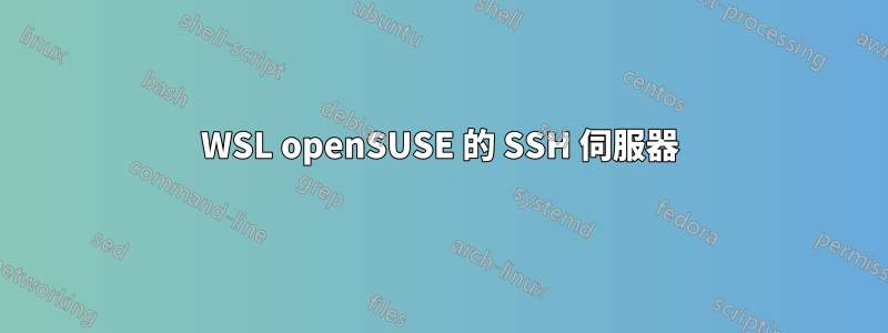 WSL openSUSE 的 SSH 伺服器