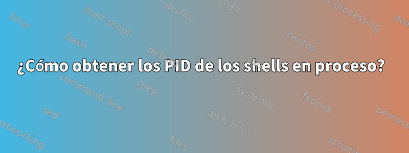 ¿Cómo obtener los PID de los shells en proceso? 