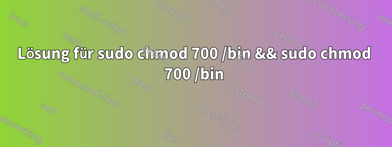 Lösung für sudo chmod 700 /bin && sudo chmod 700 /bin