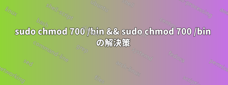 sudo chmod 700 /bin && sudo chmod 700 /bin の解決策