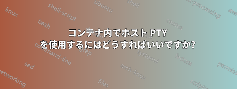 コンテナ内でホスト PTY を使用するにはどうすればいいですか?