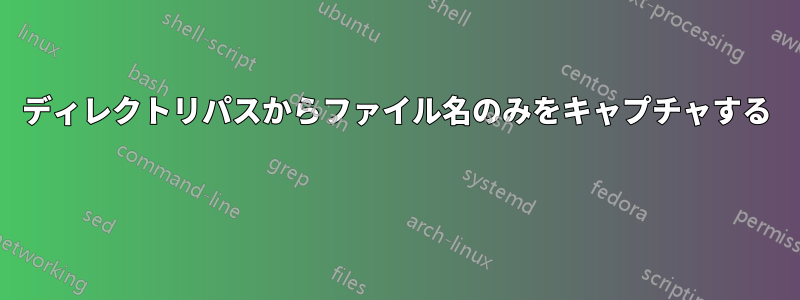 ディレクトリパスからファイル名のみをキャプチャする 