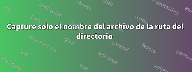 Capture solo el nombre del archivo de la ruta del directorio 