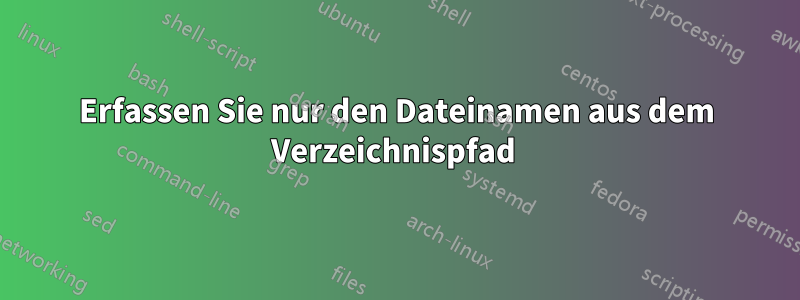 Erfassen Sie nur den Dateinamen aus dem Verzeichnispfad 