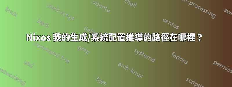 Nixos 我的生成/系統配置推導的路徑在哪裡？